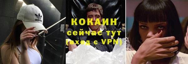 шишки Беломорск