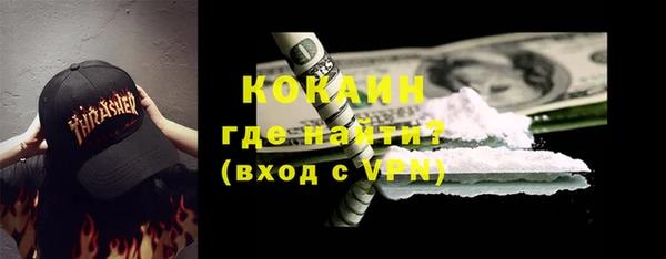 шишки Беломорск