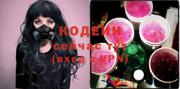 шишки Беломорск