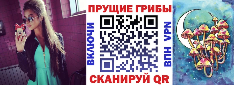 Псилоцибиновые грибы прущие грибы  Краснокамск 