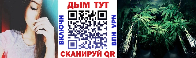 Шишки марихуана AK-47  где купить наркоту  mega рабочий сайт  Краснокамск 